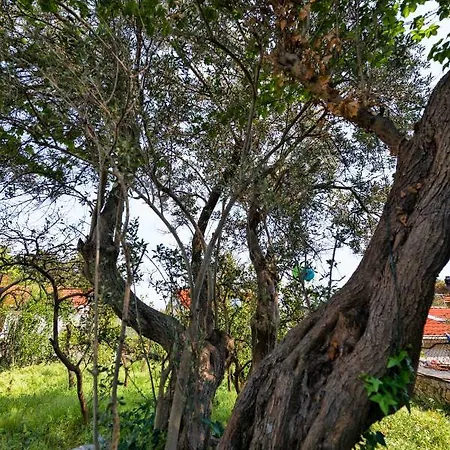 Prázdninový dům House Lana Slatine
